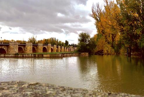 Puente sobre el Duero_David Lobo Sotillos